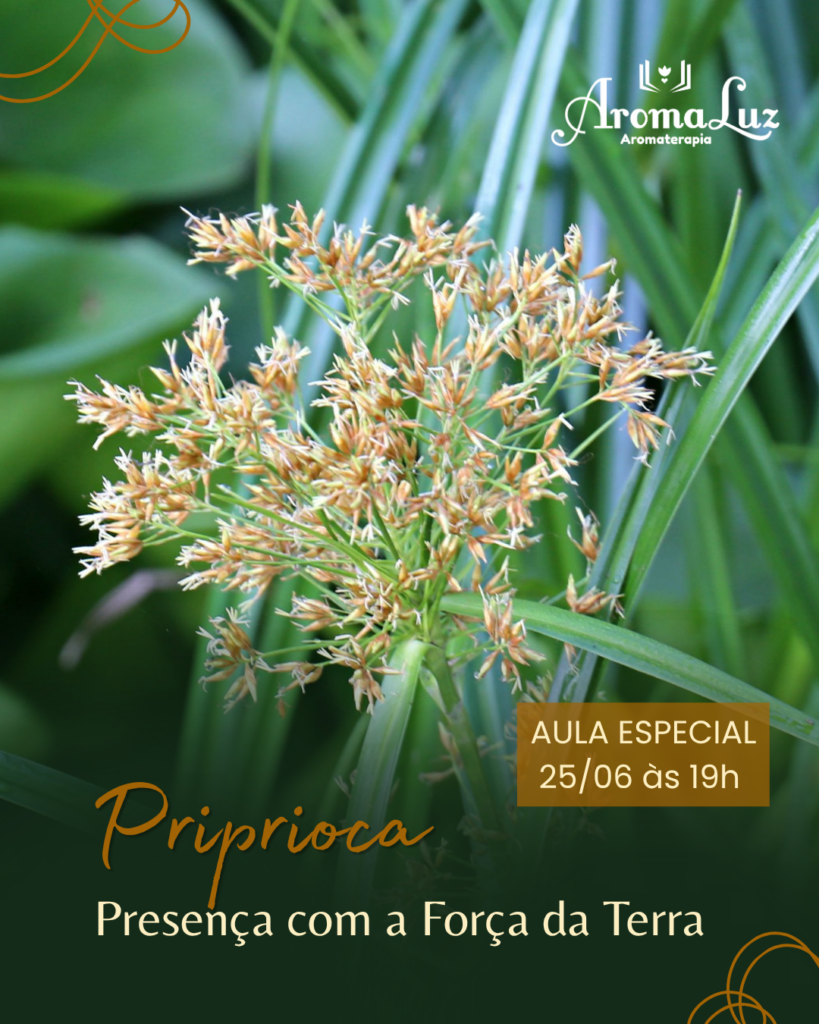 Aula Priprioca: Presença com a Força da Terra