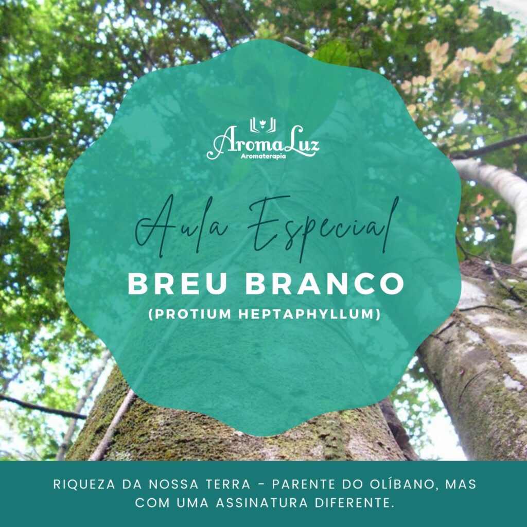 Aula Especial: Breu Branco - Sinta essa espiritualidade!