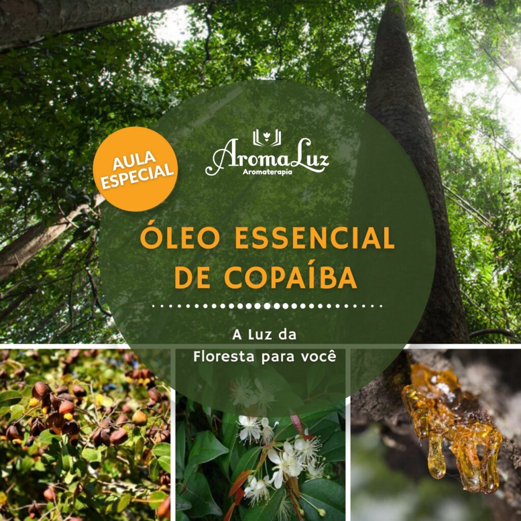 Aula Especial: Copaíba - A luz da floresta para você!
