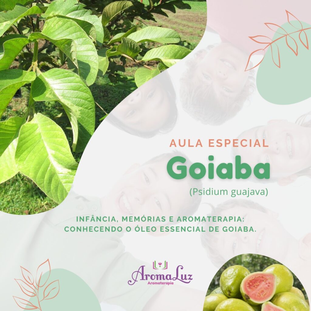 Aula Especial: Goiaba - uma árvore presente nas memórias da infância...